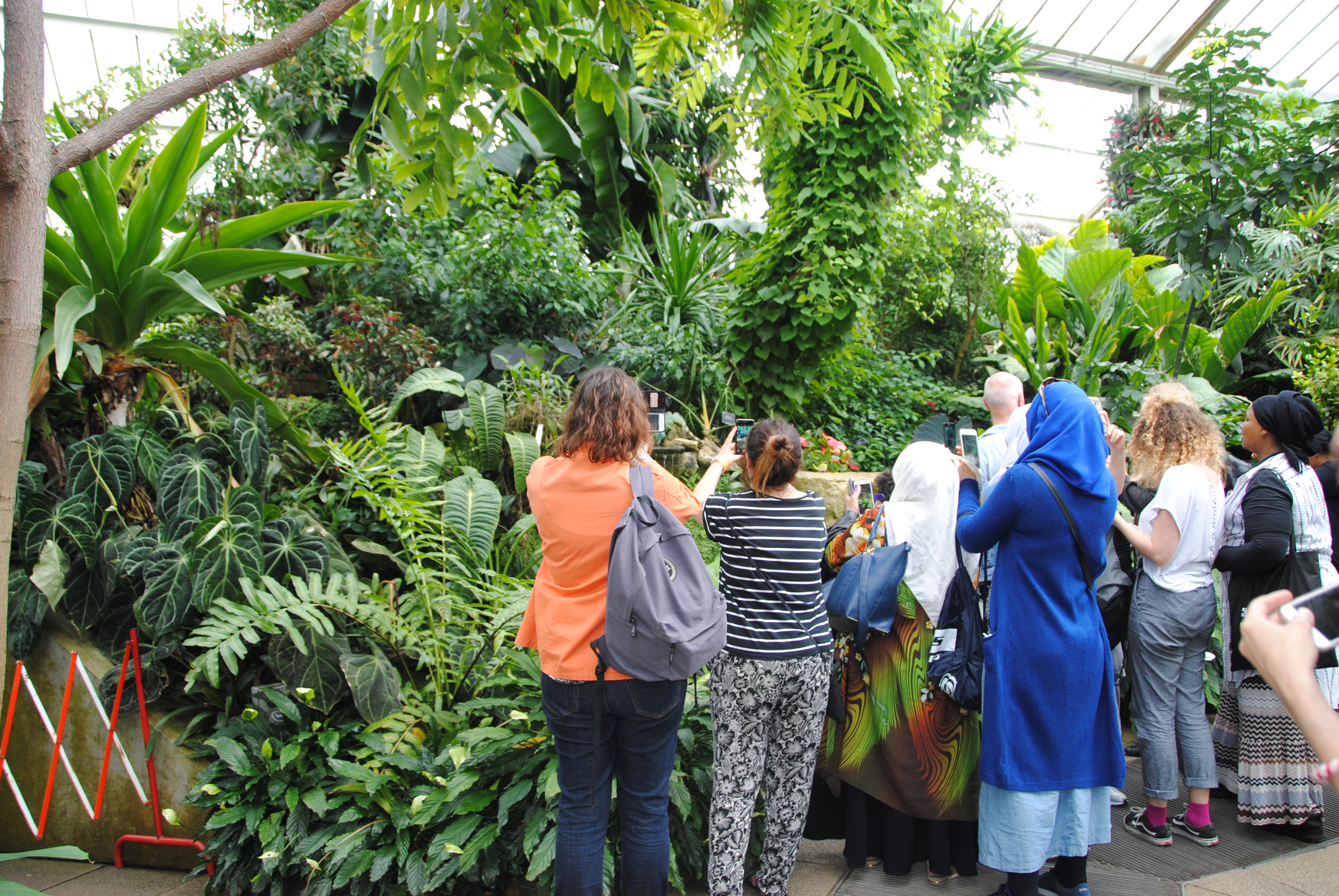 Esol Class visiting Kew Gardens