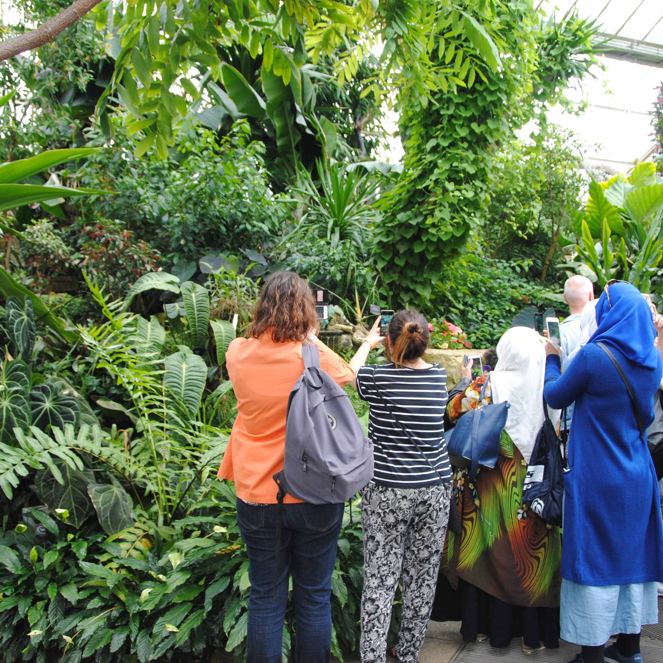 Esol Class visiting Kew Gardens